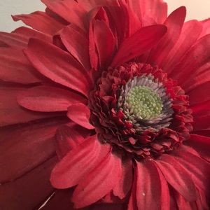 Meet your Posher, Joy